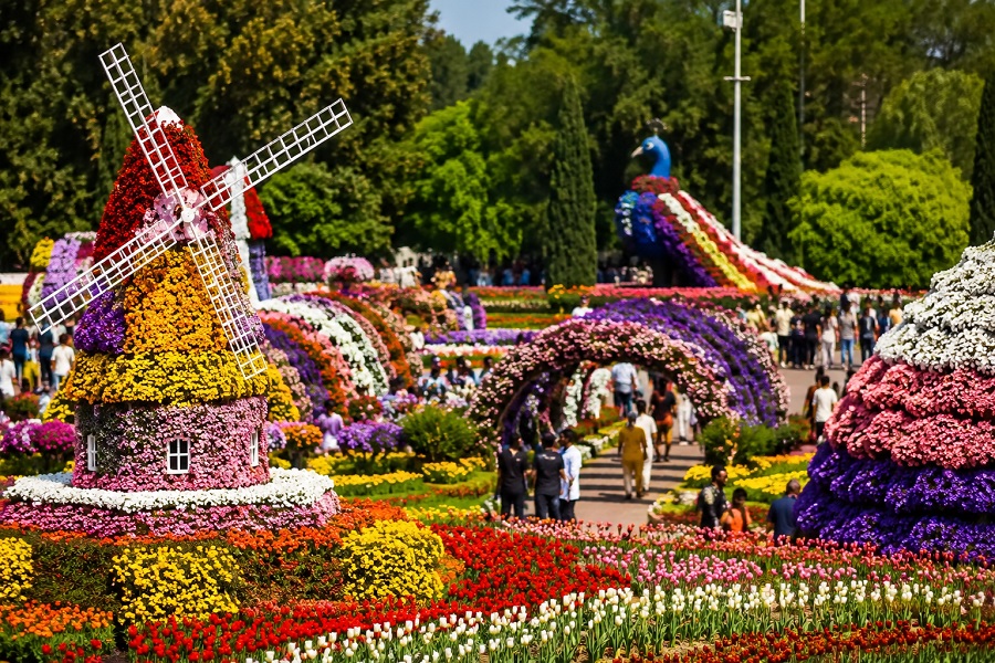 Flower Festivals Around the World: The Most Beautiful Floral Celebrations 